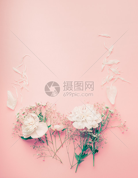 粉彩花框架与牡丹花瓣粉红色的背景,顶部视图图片