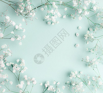 花的成与轻,通风的白色小花绿松石蓝色背景,顶部视图,框架果蝇宝宝的呼吸花图片