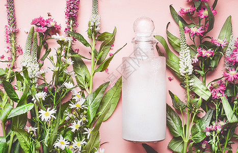 璃瓶与天然化妆品洗剂洗发水与新鲜草药花粉红色背景,顶部视图美容,皮肤,头发身体护理图片