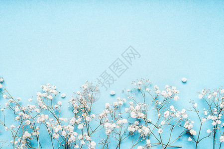 蓝色背景上的白色小果花,漂亮的花边,顶部视图,水平背景图片