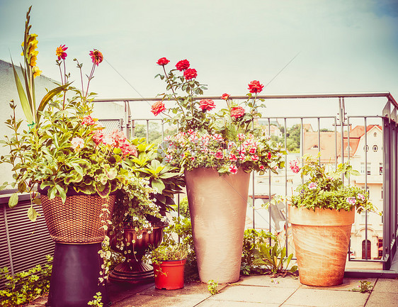 各种阳台上的各种花卉露台盆播种机,城市花园图片