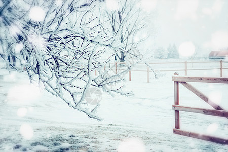 冬季乡村景观与冻结的树木,雪木栅栏,户外自然背景背景图片