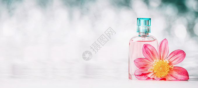 水疗健康背景与房间香水瓶花的背景 正视图 横幅高清图片下载 正版图片 摄图网 水疗健康背景与房间香水瓶花的背景 正视图 横幅高清图片下载 正版图片 摄图网