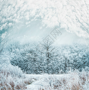 霜冻的冬日景观,雪覆盖着树木草地,美丽的天空图片