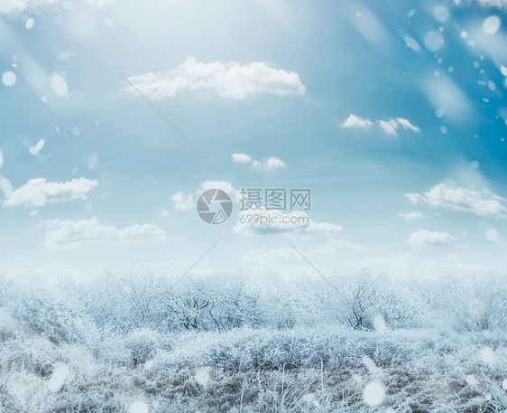 美丽的冬季霜天景观与雪树天空,广场图片