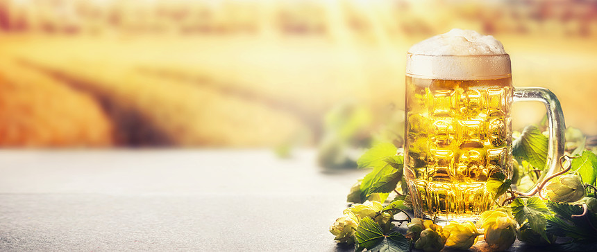 ‘~啤酒杯与泡沫桌子上与啤酒花野外自然背景与阳光,正视图,横幅  ~’ 的图片