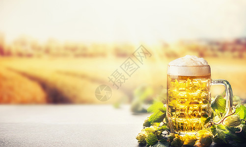 啤酒杯与泡沫桌子上与啤酒花野外自然背景与阳光,正视图,横幅图片