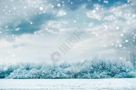 美丽的冬季景观与冻结的树木雪覆盖的田野天空背景与降雪背景图片