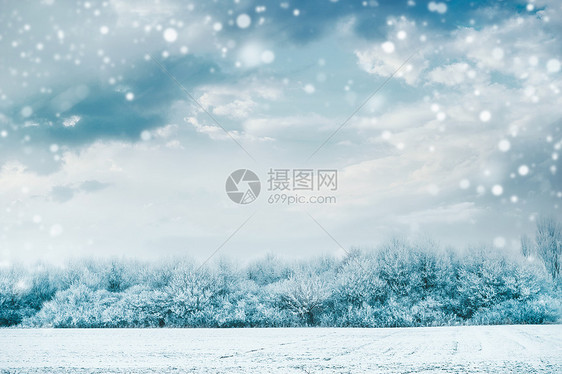 美丽的冬季景观与冻结的树木雪覆盖的田野天空背景与降雪图片