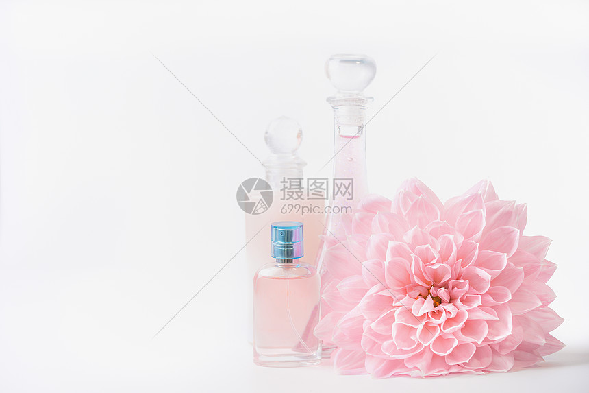 化妆品香水瓶与粉红色淡花白色背景 正视图美容护肤理念高清图片下载 正版图片 摄图网 化妆品香水瓶与粉红色淡花白色背景 正视图美容护肤理念高清图片下载 正版图片 摄图网