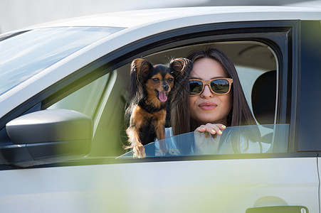 夏天旅行的女人狗车里趣的狗旅行带宠物的假期图片