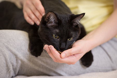 目全非的女人家喂她的黑猫图片