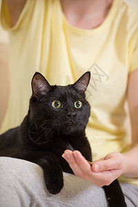 目全非的女人家喂她的黑猫图片