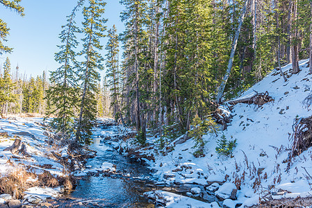 条小溪被雪包围医学弓森林里图片