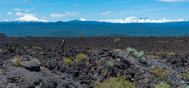 纽伯里火山纪念碑的熔岩布特图片