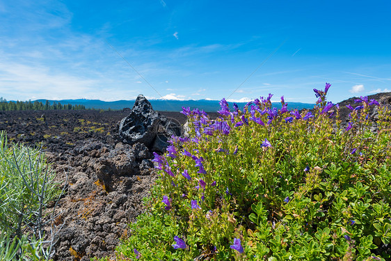 纽伯里火山纪念碑的熔岩布特图片