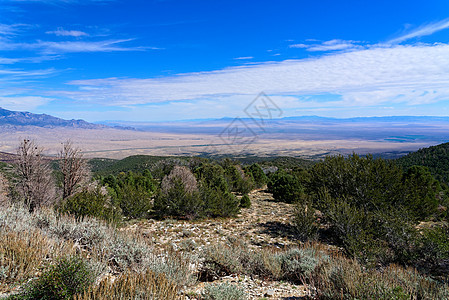 俯瞰内华达州的莫哈韦沙漠图片