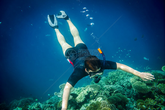 潜水者沿着大脑珊瑚潜水马尔代夫印度洋珊瑚礁图片