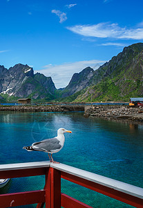 洛芬岛挪威诺德兰县的个群岛以独特的风景而闻名,戏剧的山脉山峰,开阔的大海庇护的海湾,海滩未触及的土地图片
