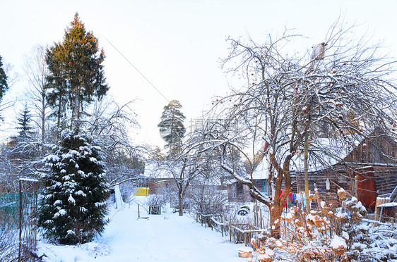 下雪的农村房子俄罗斯村庄的农村房子被雪覆盖图片