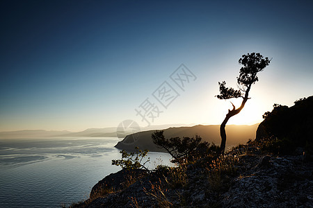 日落时的树海克里米亚风景自然背景图片