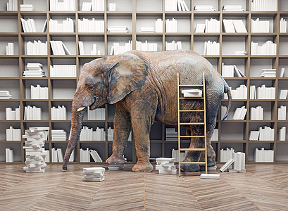 房间里书架的大象创造的图片