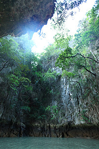 美景图岩石热带森林蓝色海水上的岩石热带森林背景