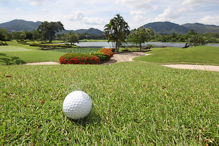 草地上的高尔夫球晴天热带高尔夫球场草地上打高尔夫球图片
