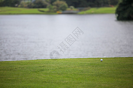 球场上的高尔夫球高尔夫球球场上,池塘背景上图片