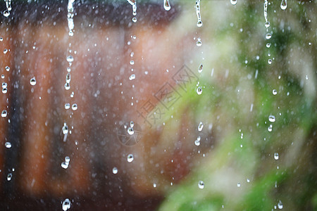 热带雨滴热带雨落得很近图片