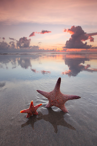 日落时海滩上两条海星日落时,两只海星空荡荡的海滩上图片
