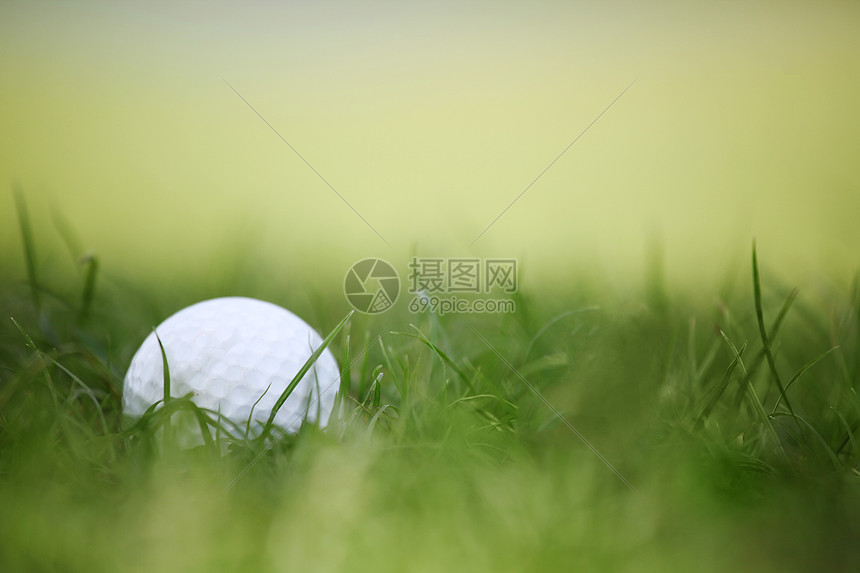 绿色草地上的高尔夫球高尔夫球绿草观特写图片