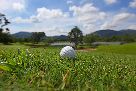球场上的高尔夫球高尔夫球美丽的热带球场特写图片