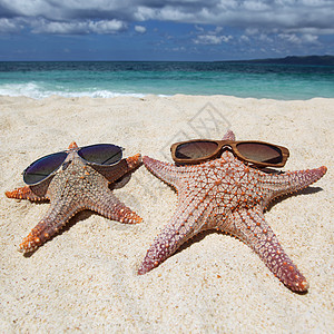 海滩上戴太阳镜的海星菲律宾热带海滩沙滩上戴太阳镜的海星图片