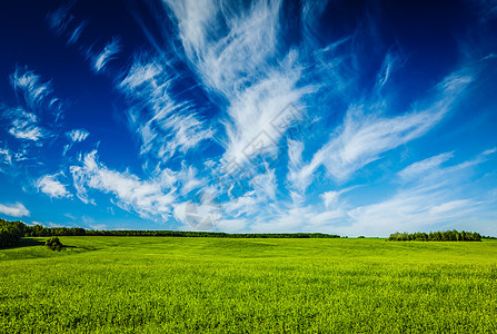 春天的夏天背景绿色的草地,草地,风景,蓝天春夏绿野风光蓝景图片
