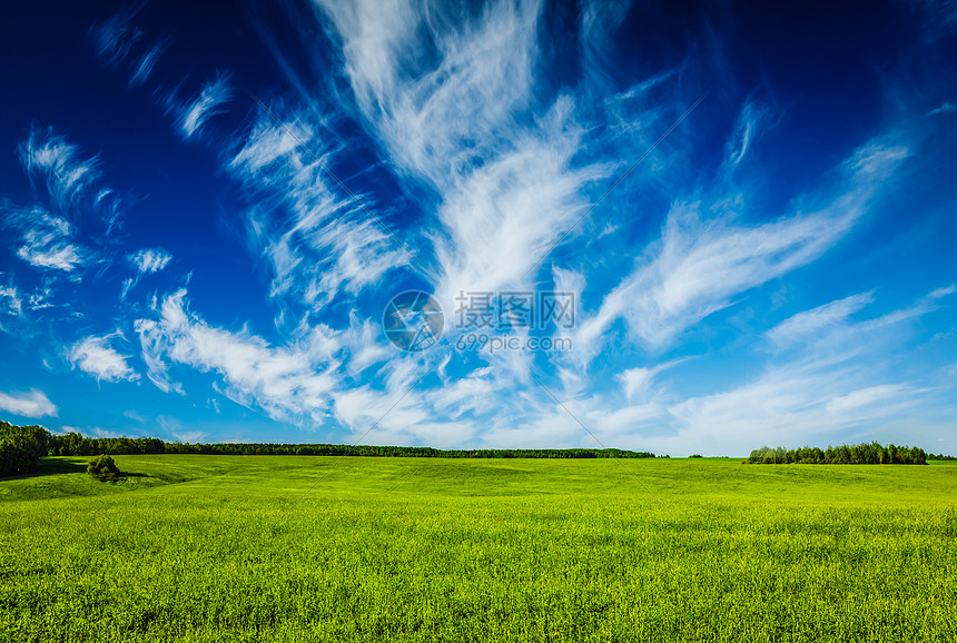 春天的夏天背景绿色的草地,草地,风景,蓝天春夏绿野风光蓝景图片