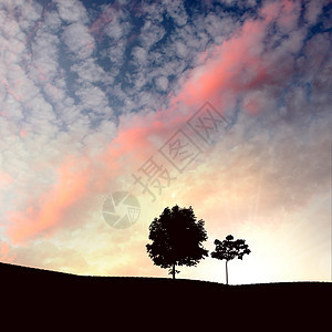 落日上的孤独树,天空背景图片