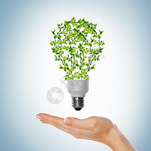 绿色灯泡可持续能源自然保护的象征图片