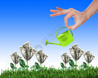 手与个小浇水罐浇水绿草灌木的美元钞票图片