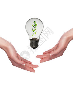 手臂灯泡环境保护的象征拼贴图片