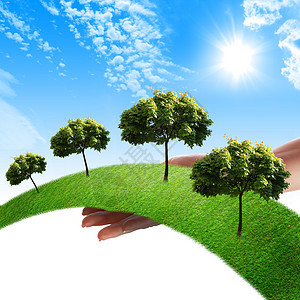 手,草线,树着蓝天环境保护的象征图片