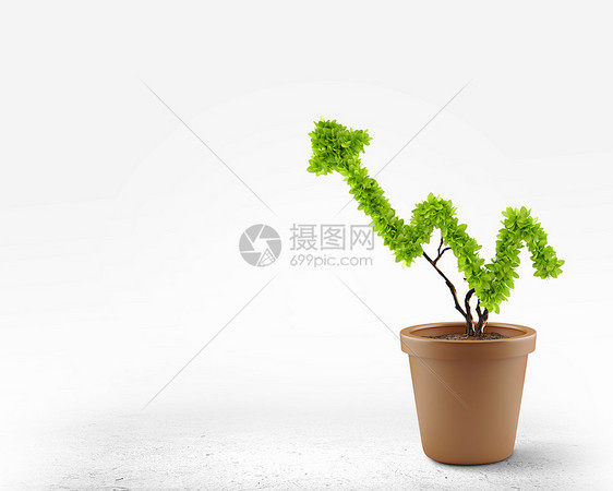 增长植物盆栽形状像图财富图片