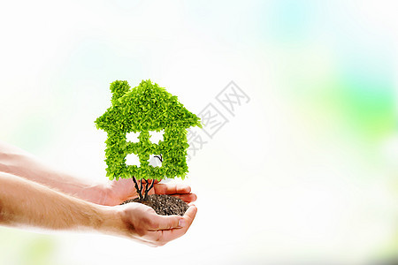干净的房子人的手着形状为房子的植物的形象生态纯洁图片