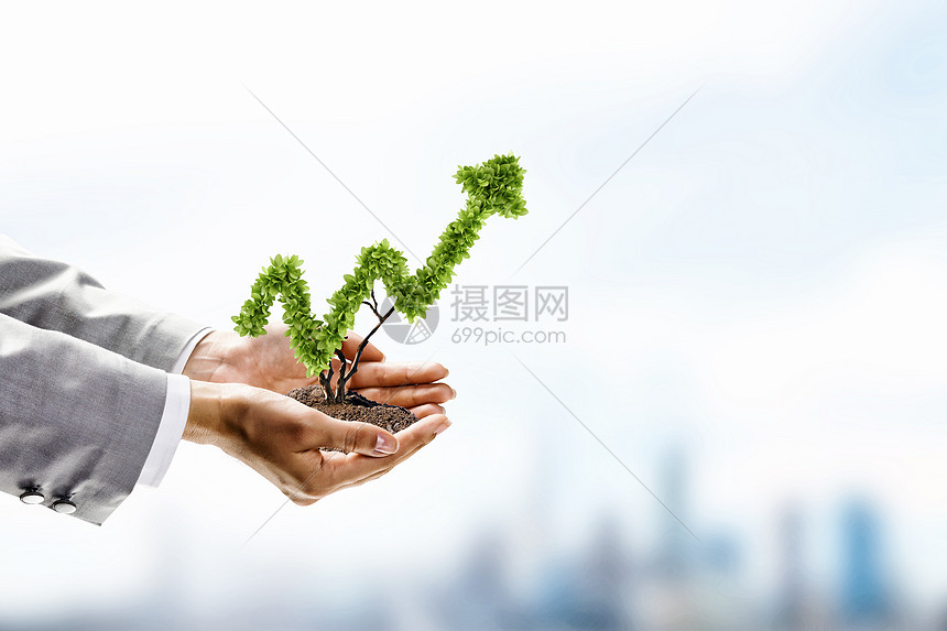 增长人的手着形状像箭头的植物的图像图片