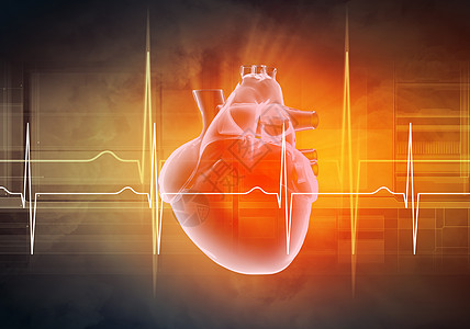 心电图人类的心跳心脏图的虚拟图像设计图片