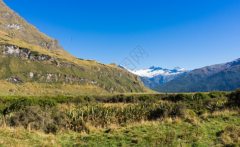 风景如画新西兰阿尔卑斯山草地的自然景观图片