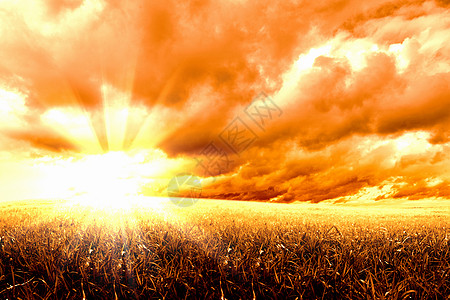 阳光照耀下乡村景观的形象图片