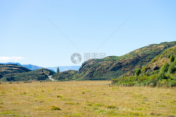 风景如画新西兰阿尔卑斯山草地的自然景观图片