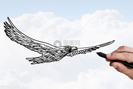 老鹰素描人天空背景上画飞鹰鸟图片
