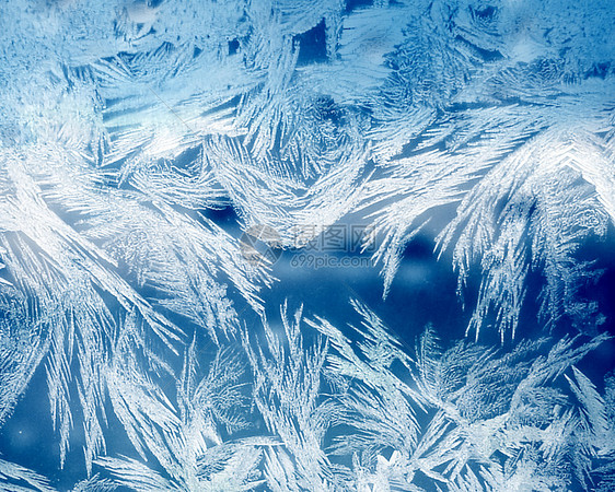 蓝色霜冻冬季背景白色雪花图片